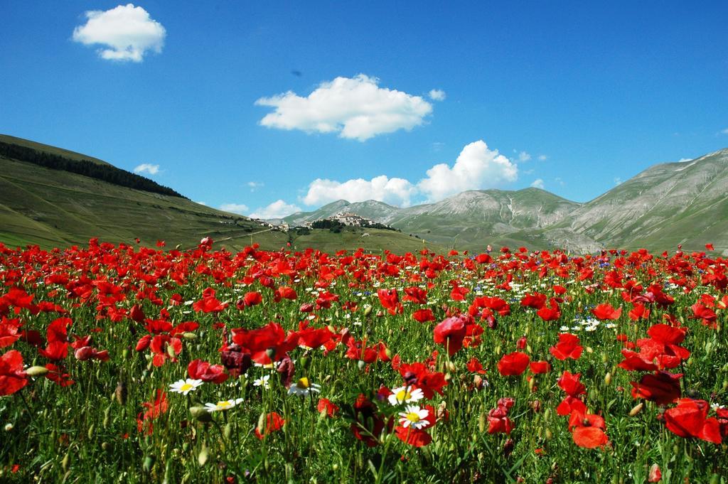 Hotel Europa Norcia Dış mekan fotoğraf
