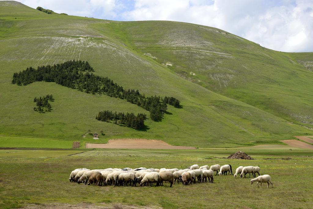 Hotel Europa Norcia Dış mekan fotoğraf