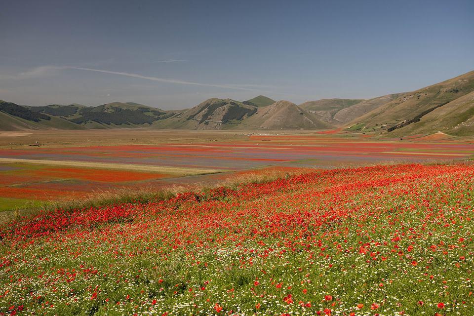 Hotel Europa Norcia Dış mekan fotoğraf