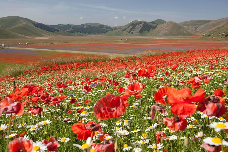 Hotel Europa Norcia Dış mekan fotoğraf