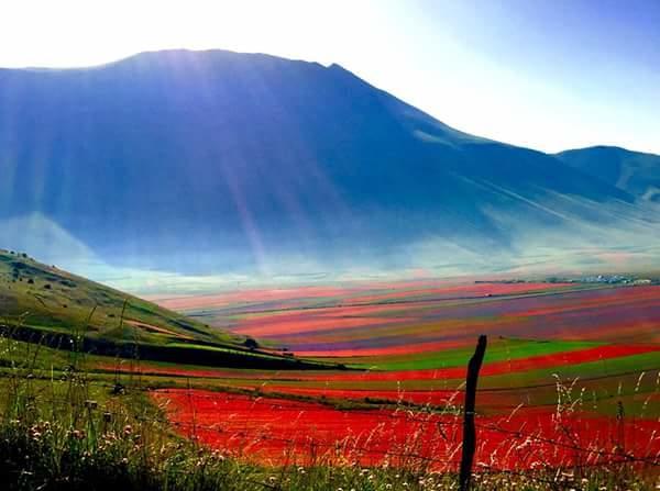 Hotel Europa Norcia Dış mekan fotoğraf