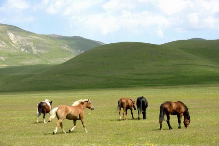 Hotel Europa Norcia Dış mekan fotoğraf